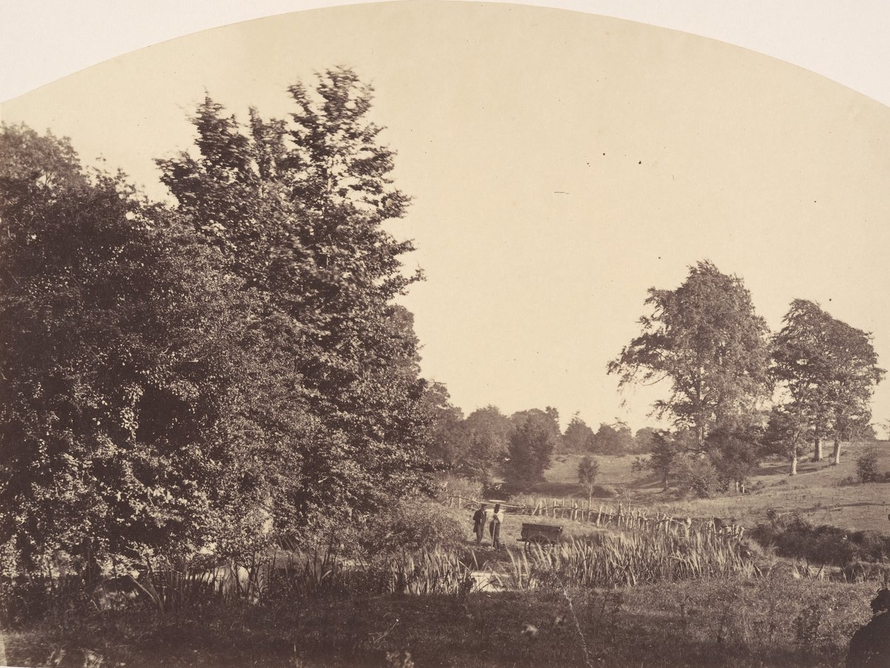 Woodland Stream, 1856. tekijältä Plunket