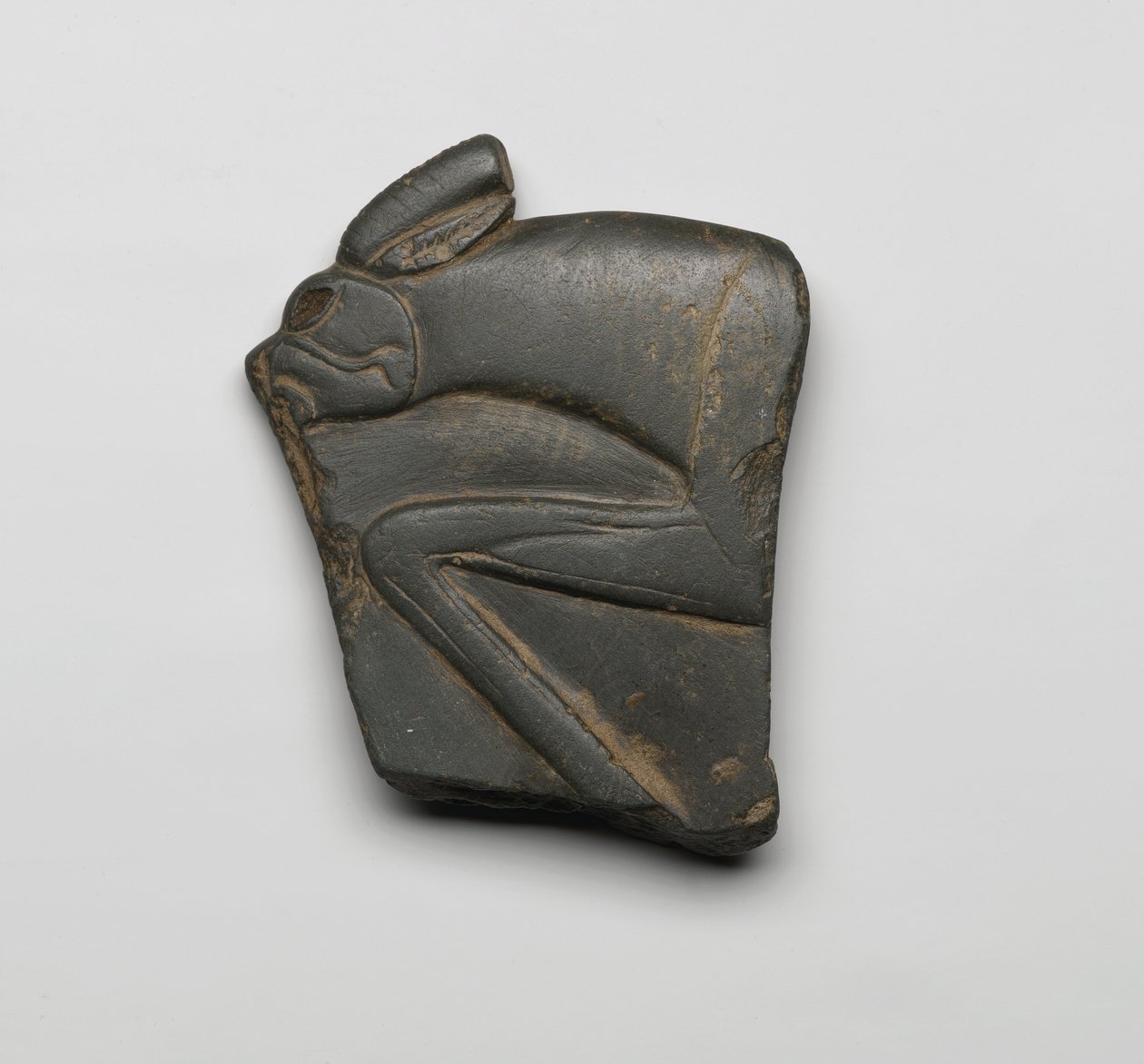 Fragmentti paletista, Ylä-Egypti, noin 3300-3100 eKr. (liuske) tekijältä Predynastic Period Egyptian