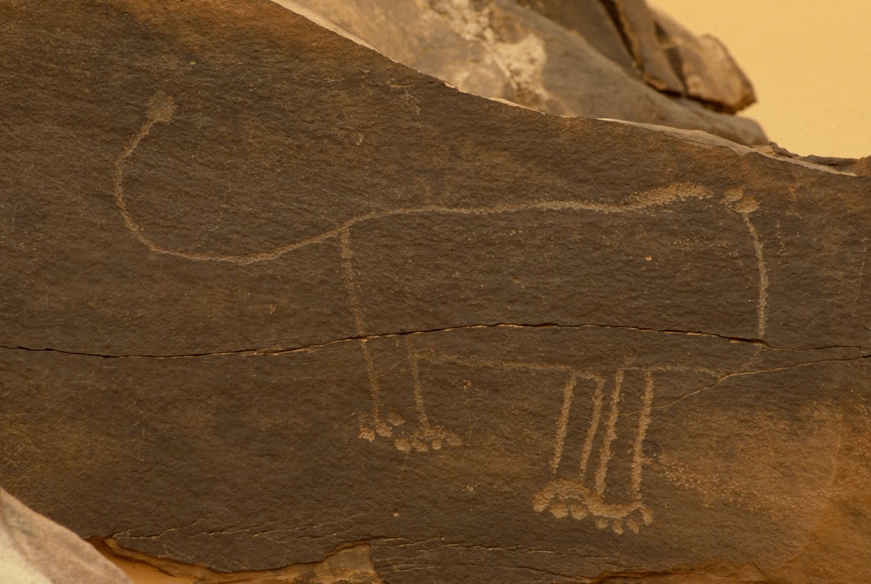 Eläin (kallioveisto) tekijältä Prehistoric
