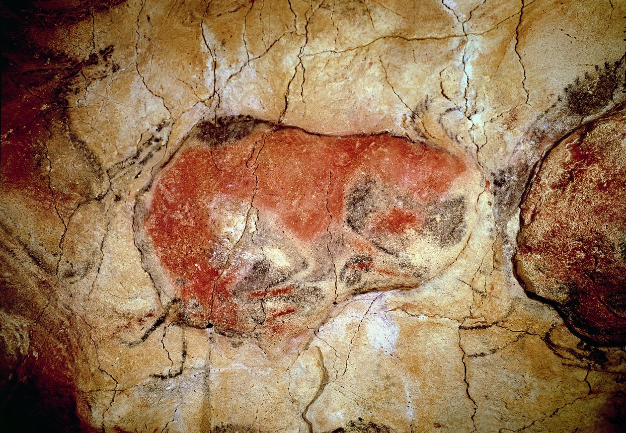 Biisoni Altamiran luolista, ylempi paleoliitti, noin 15 000-8 000 eKr. (luolamaalaus) tekijältä Prehistoric