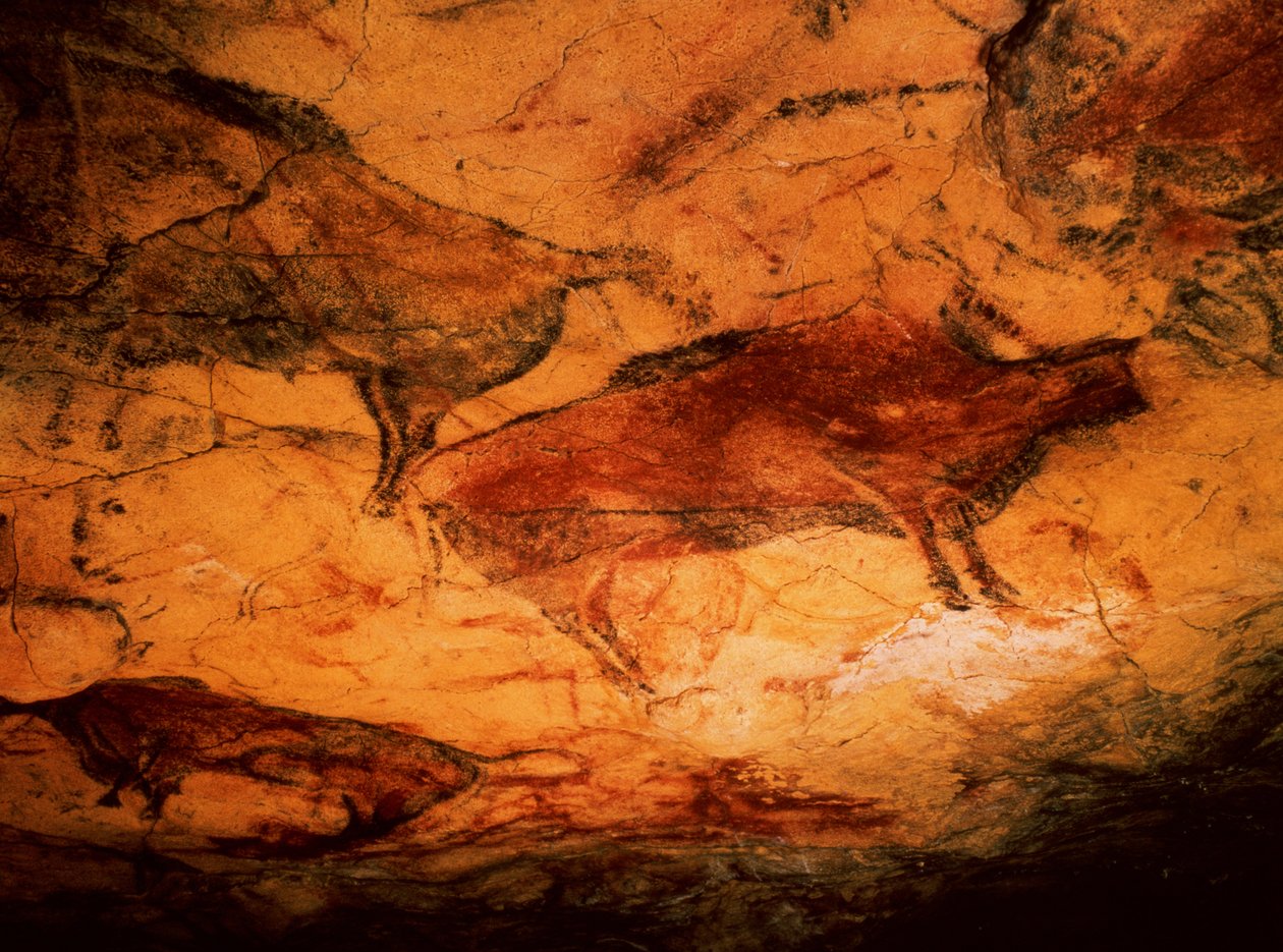 Biisoni Altamiran luolista, noin 15 000 eKr. (luolamaalaus) tekijältä Prehistoric