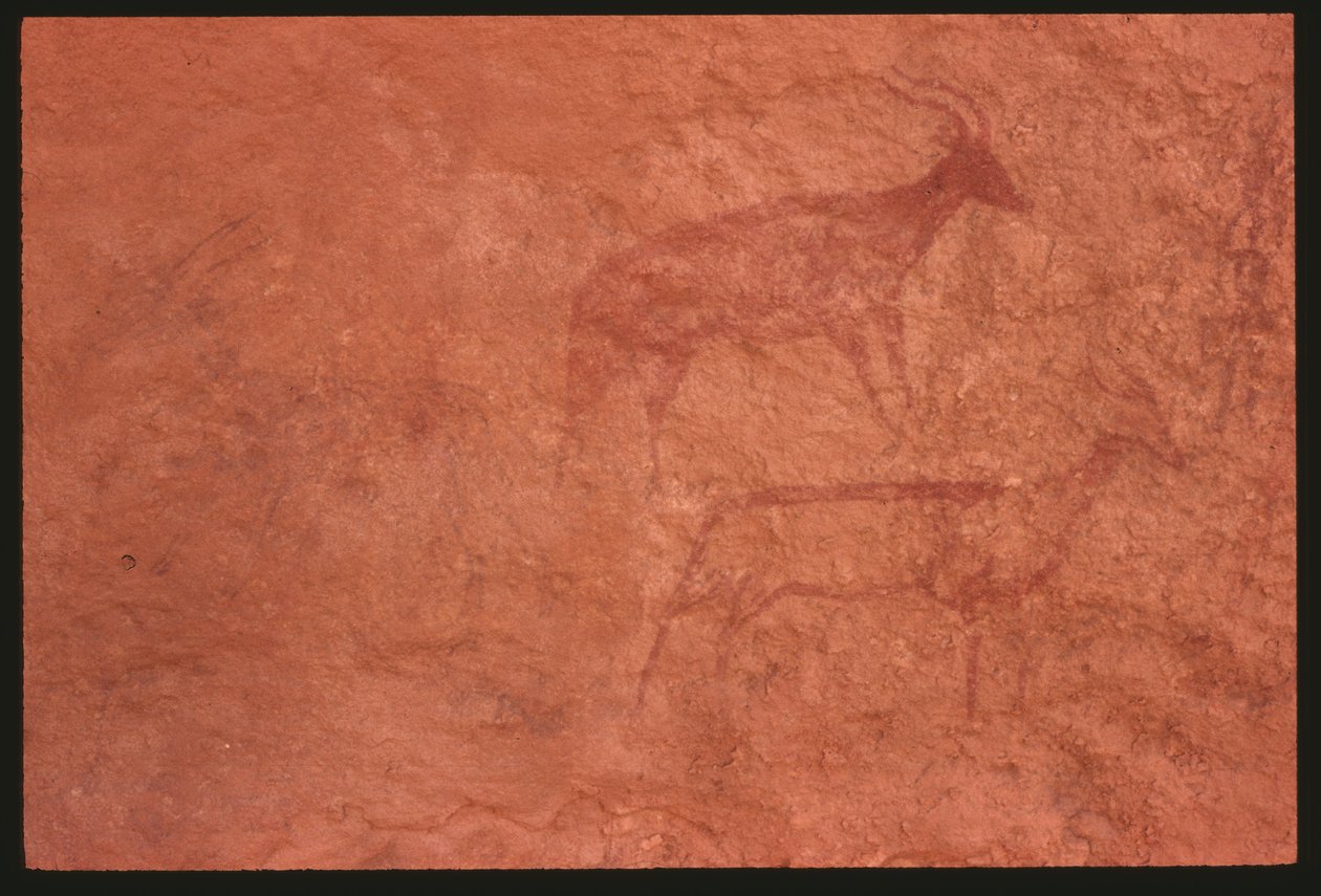 Lehmät (kivimaalaus) tekijältä Prehistoric