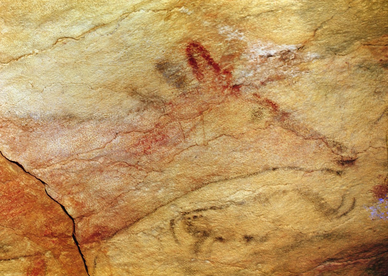 Hirvi Altamiran luolista, noin 15 000 eKr. (luolamaalaus) (42412:n yksityiskohta) tekijältä Prehistoric