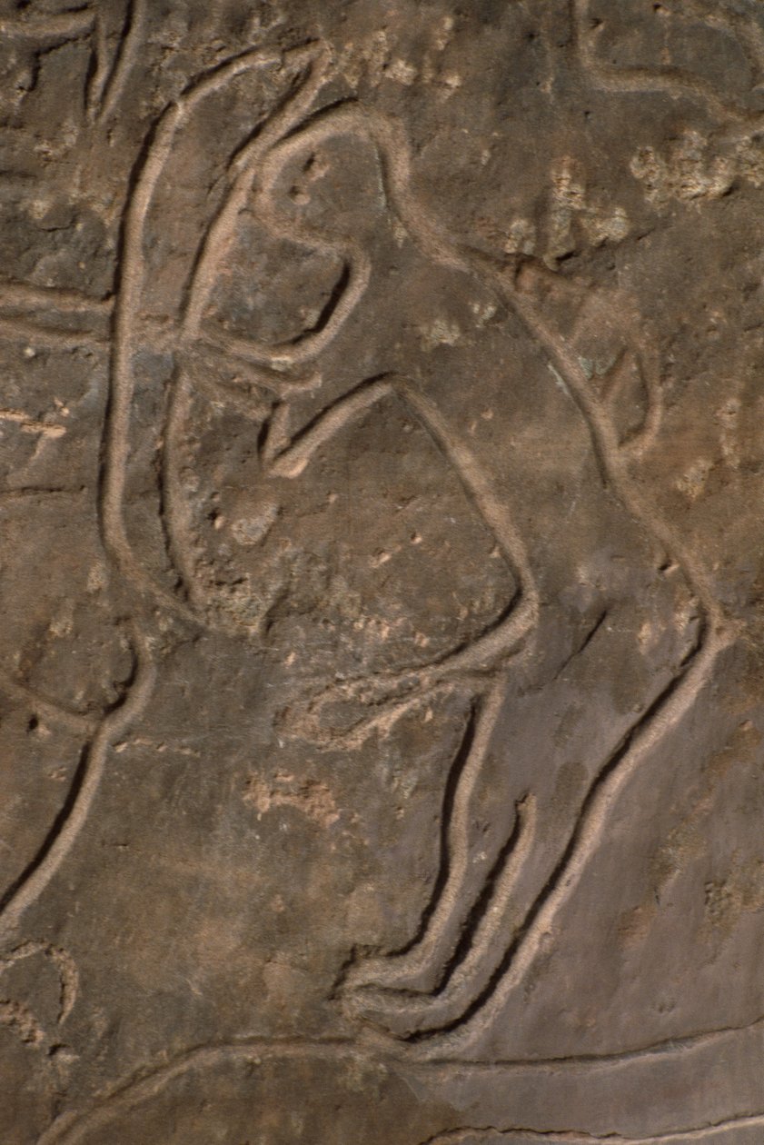 Ihmishahmo ja härän pää (kallioveisto) tekijältä Prehistoric