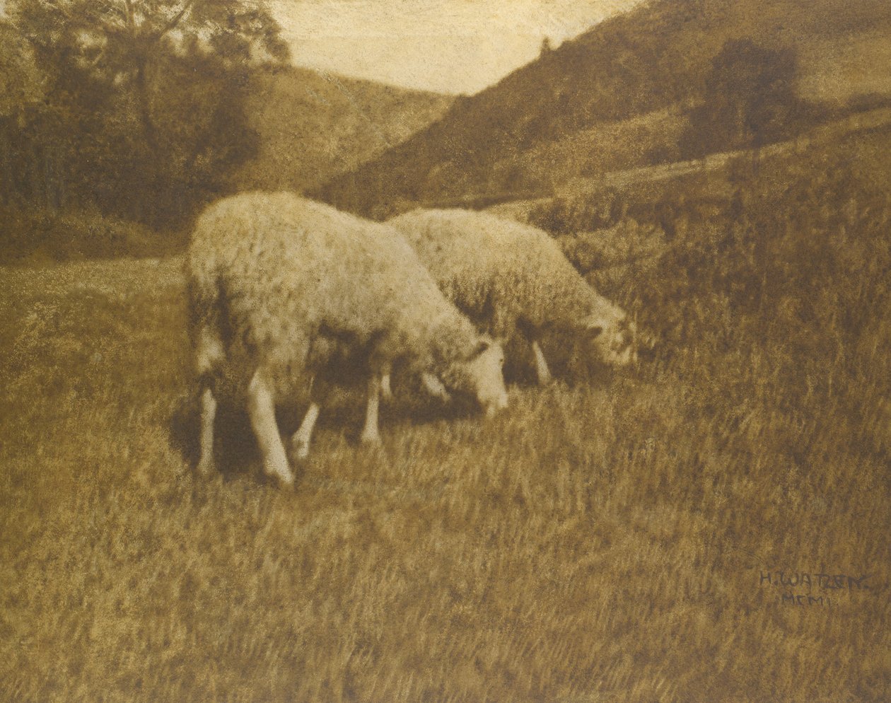 Lammas, 1901. tekijältä Professor Hans Watzek