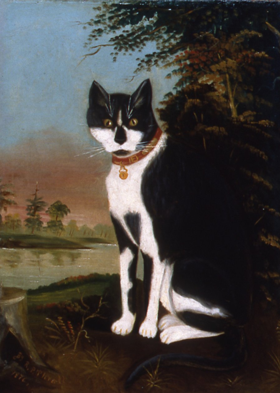 Minnie kylän laitamilta, 1876 tekijältä R.P. Thrall