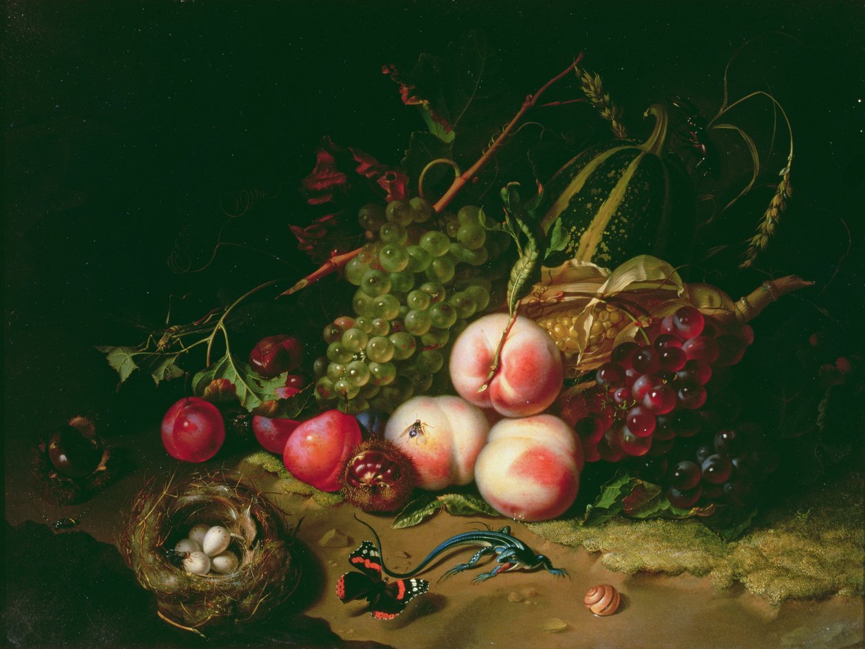 Asetelma hedelmillä (paneeli) tekijältä Rachel Ruysch