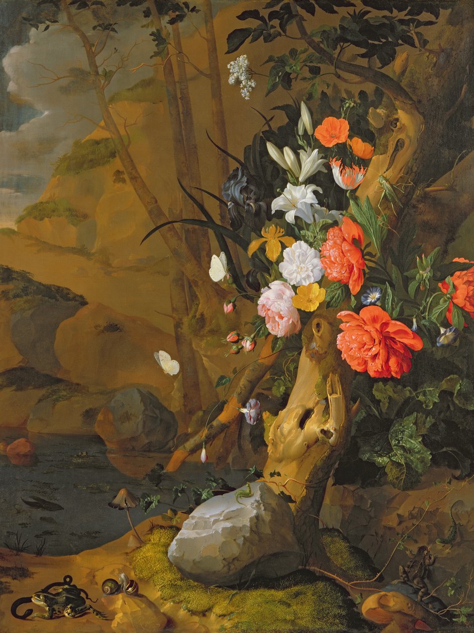 Tuntematon kuva tekijältä Rachel Ruysch