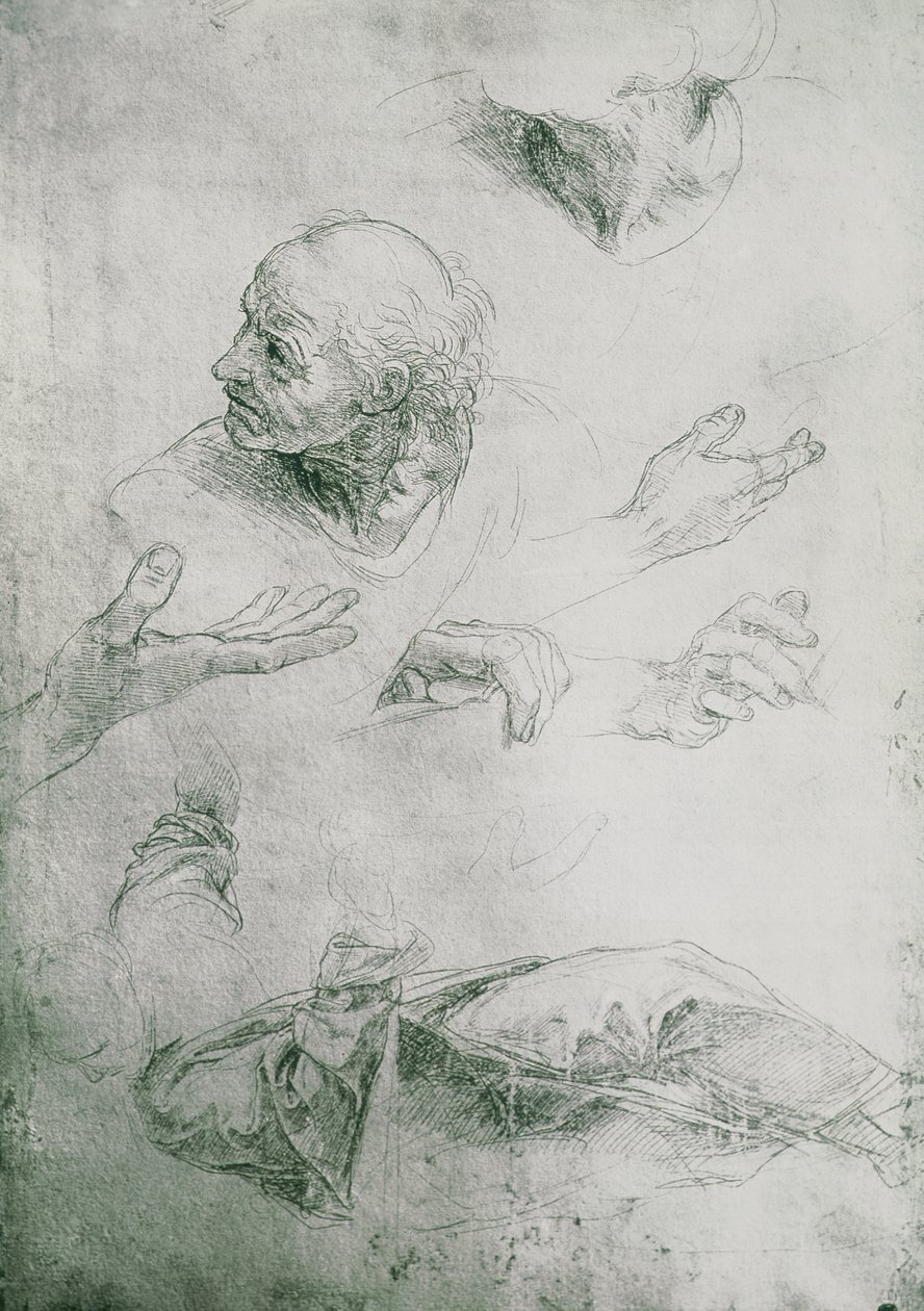 Tutkimuksia Bramanten hahmolle (1444-1515) tekijältä Raffaello Sanzio Raphael