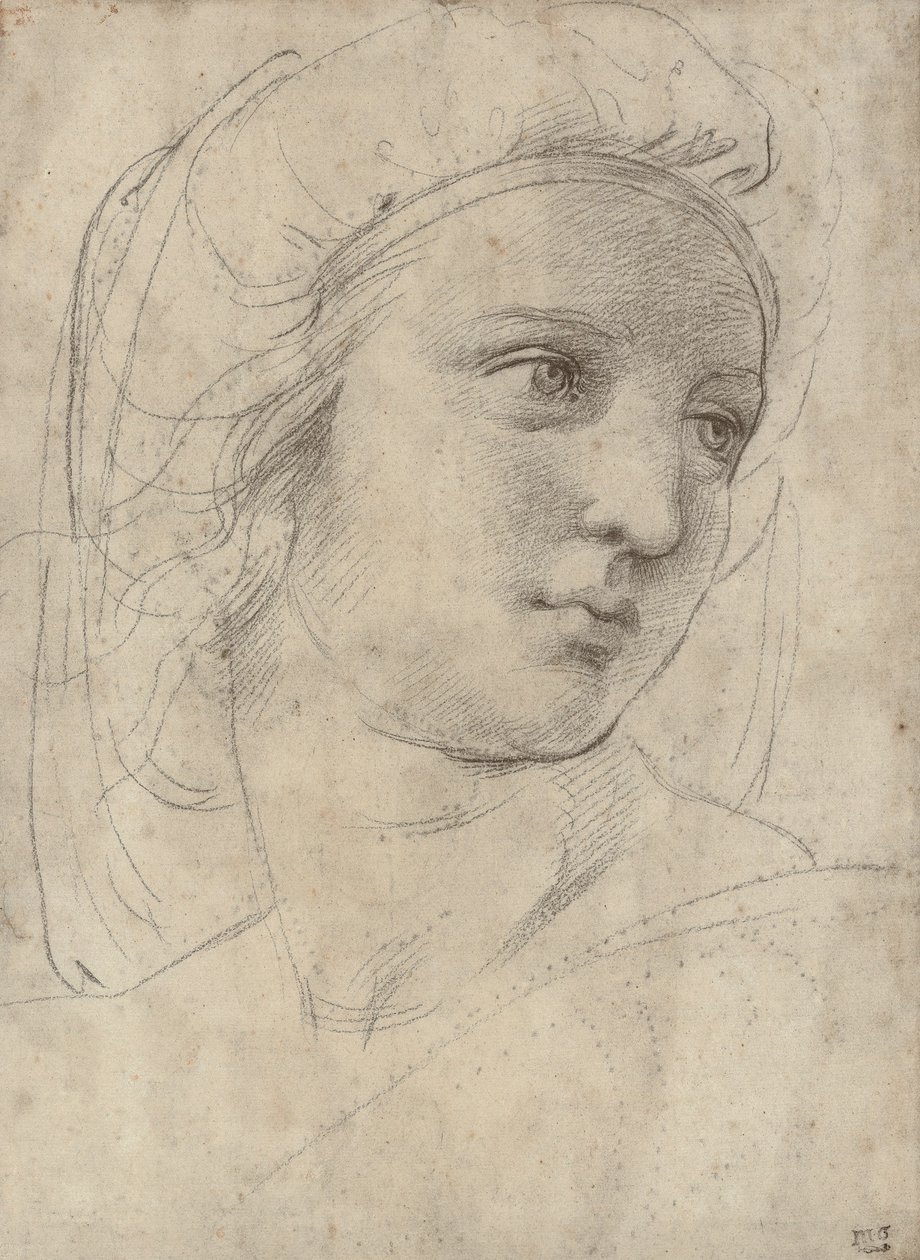 Muusan pää tekijältä Raffaello Sanzio Raphael