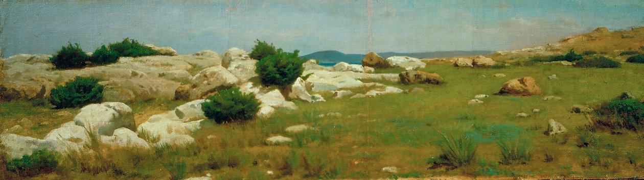 Castiglioncello (öljyä kankaalle) tekijältä Raffaello Sernesi
