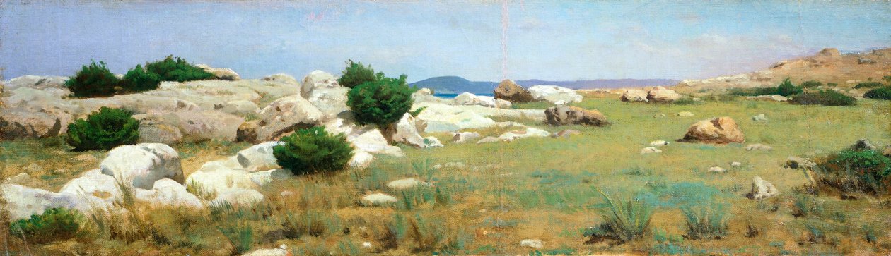 Cliff at Castiglioncello (öljy kankaalle) tekijältä Raffaello Sernesi