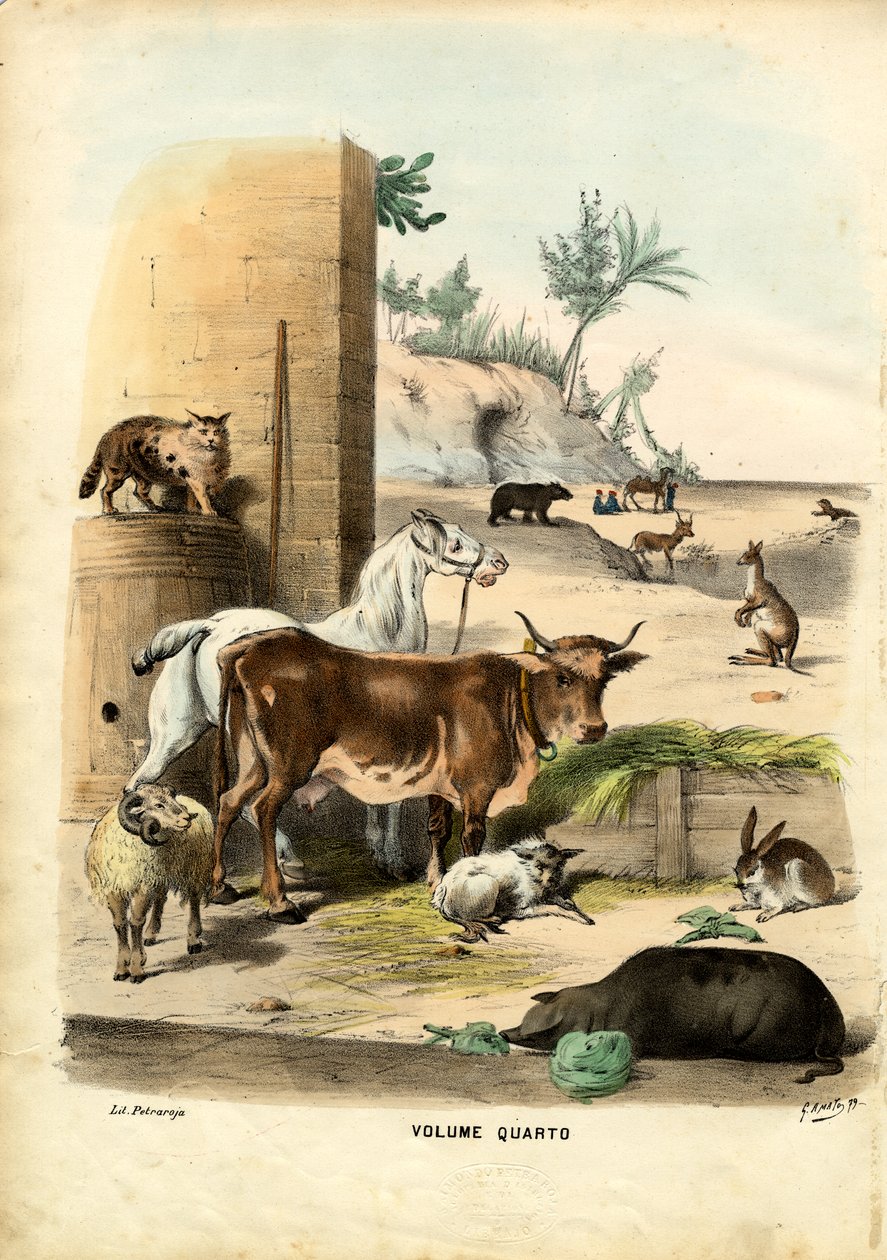 Otsikko, 1863-79 tekijältä Raimundo Petraroja