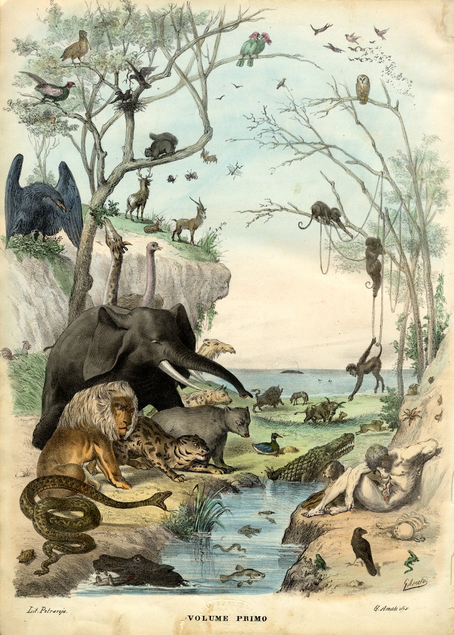 Otsikko, 1863-79 tekijältä Raimundo Petraroja