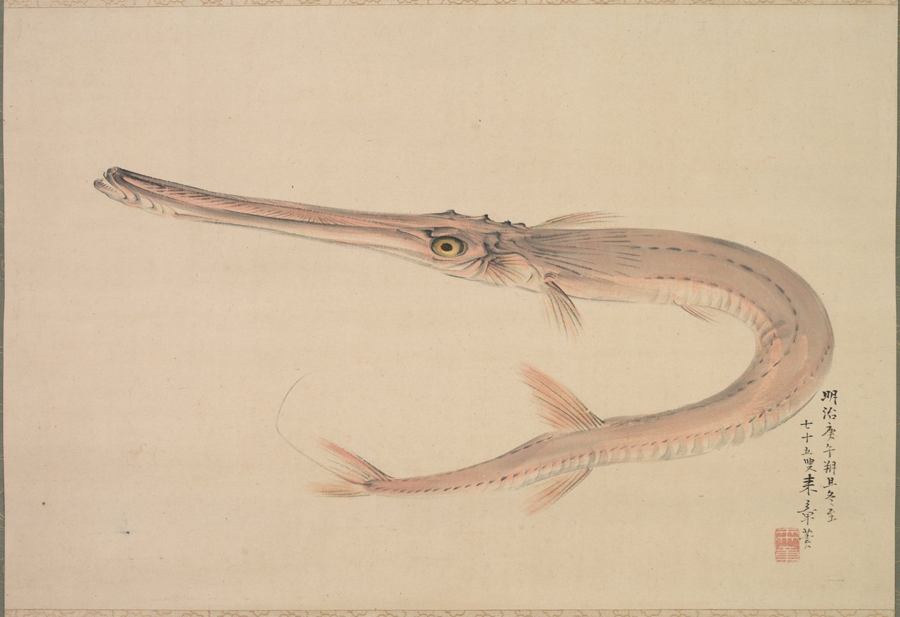 Needlefish asui, 1870. tekijältä Raisho Nakajima