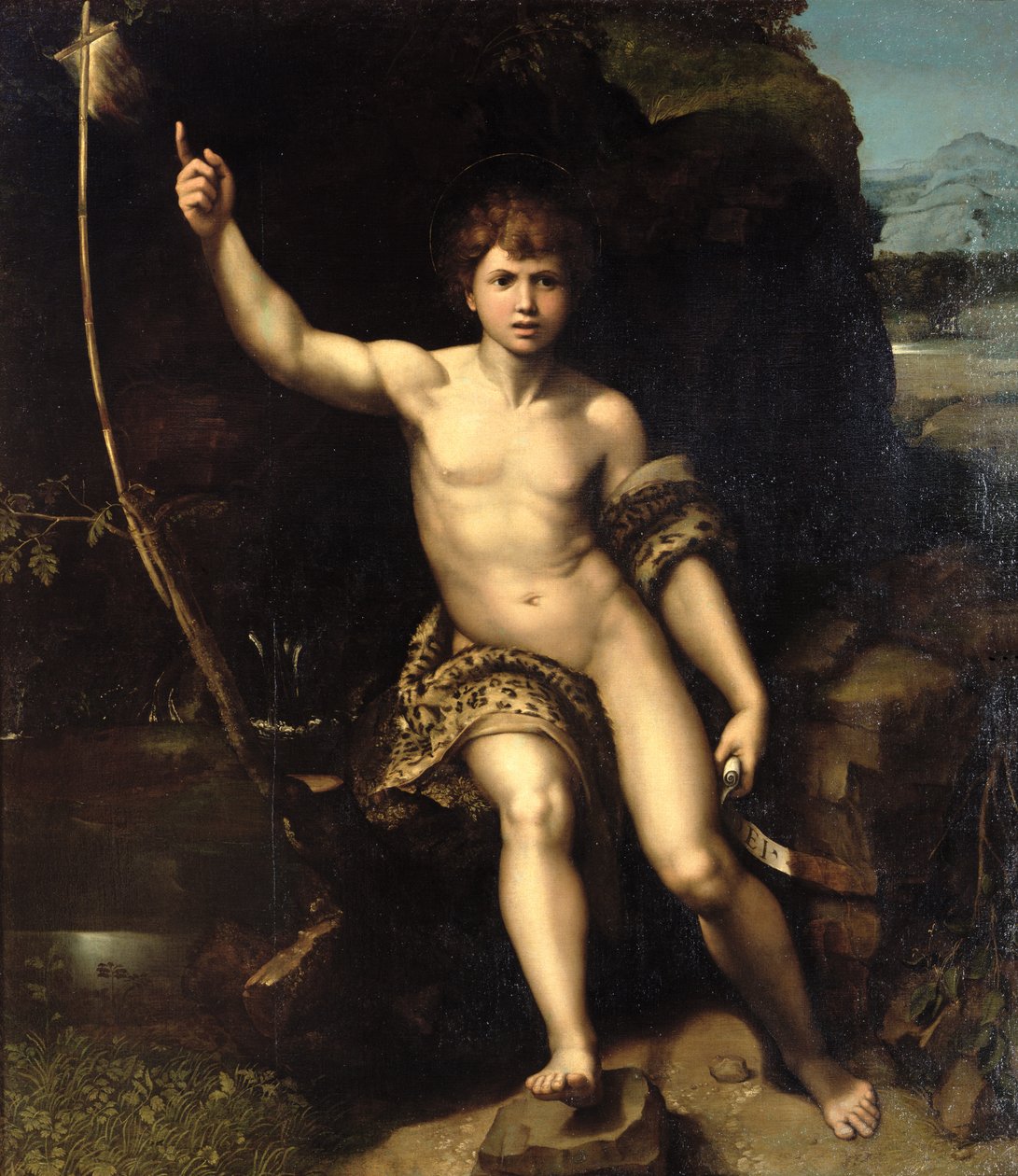 Johannes Kastaja erämaassa, noin 1518-20. tekijältä Raffaello Sanzio Raphael