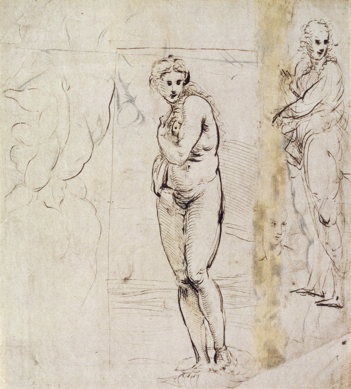 Venuksen tutkimus (kynä ja muste) tekijältä Raffaello Sanzio Raphael