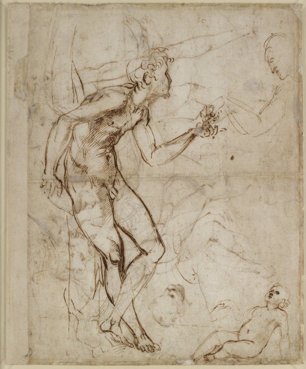 Verso: Adam houkutteli, WA1846.180 tekijältä Raffaello Sanzio Raphael