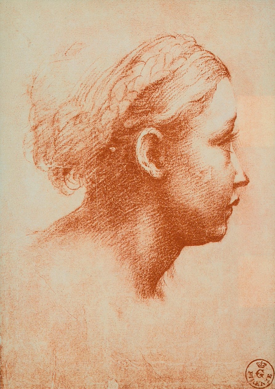 Naisen pää profiilissa, piirustus Raphael. Piirustus- ja grafiikkakaappi, Uffizi, Firenze tekijältä Raffaello Sanzio Raphael