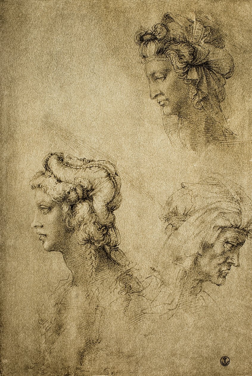Tutkimus naisten päistä, piirustus Rafael; Piirustus- ja grafiikkakaappi, Uffizi-galleria, Firenze tekijältä Raffaello Sanzio Raphael