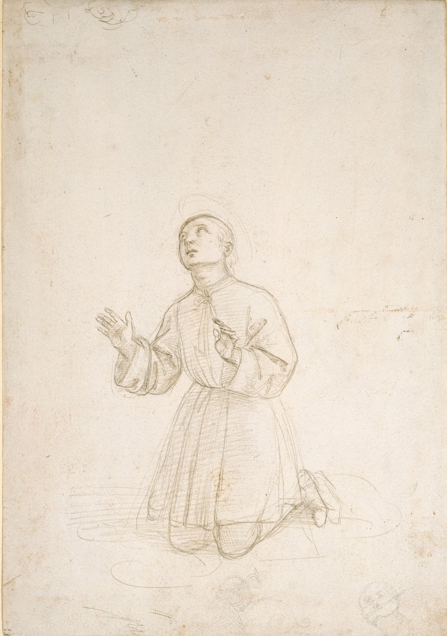 Nuoren polvistuva hahmo, c1503 tekijältä Raphael