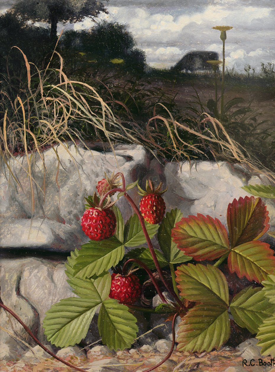 Mansikat (öljy paneelille) tekijältä Raymond Booth