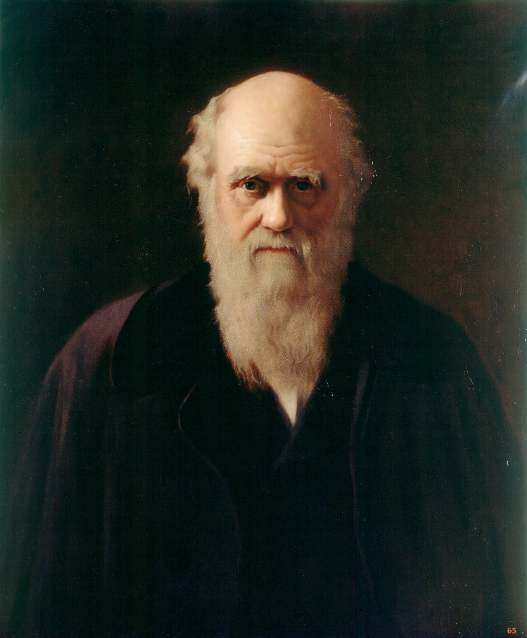 Charles Darwin (öljy aluksella) tekijältä Reilly Reilly
