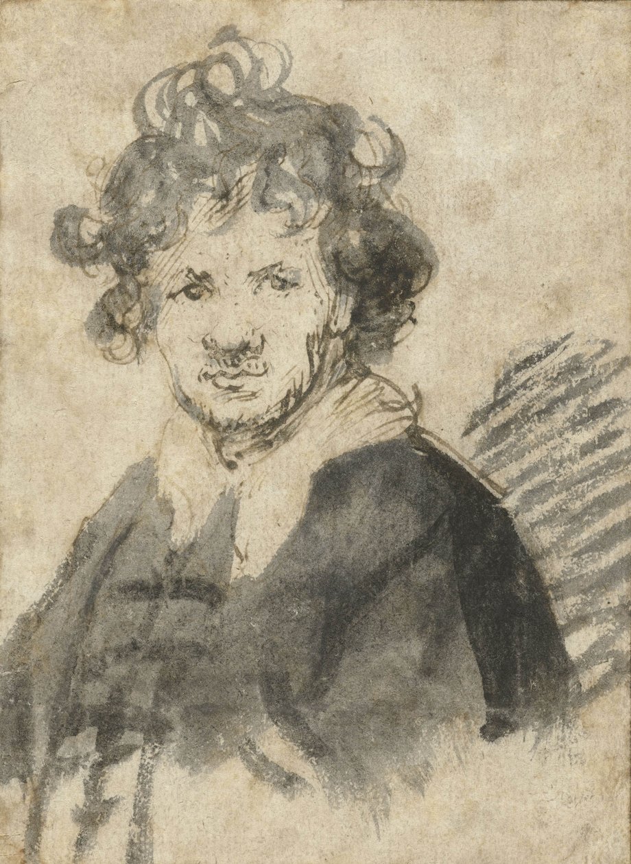 Omakuva, jossa rypyt hiukset, n. 1628-29 tekijältä Rembrandt van Rijn