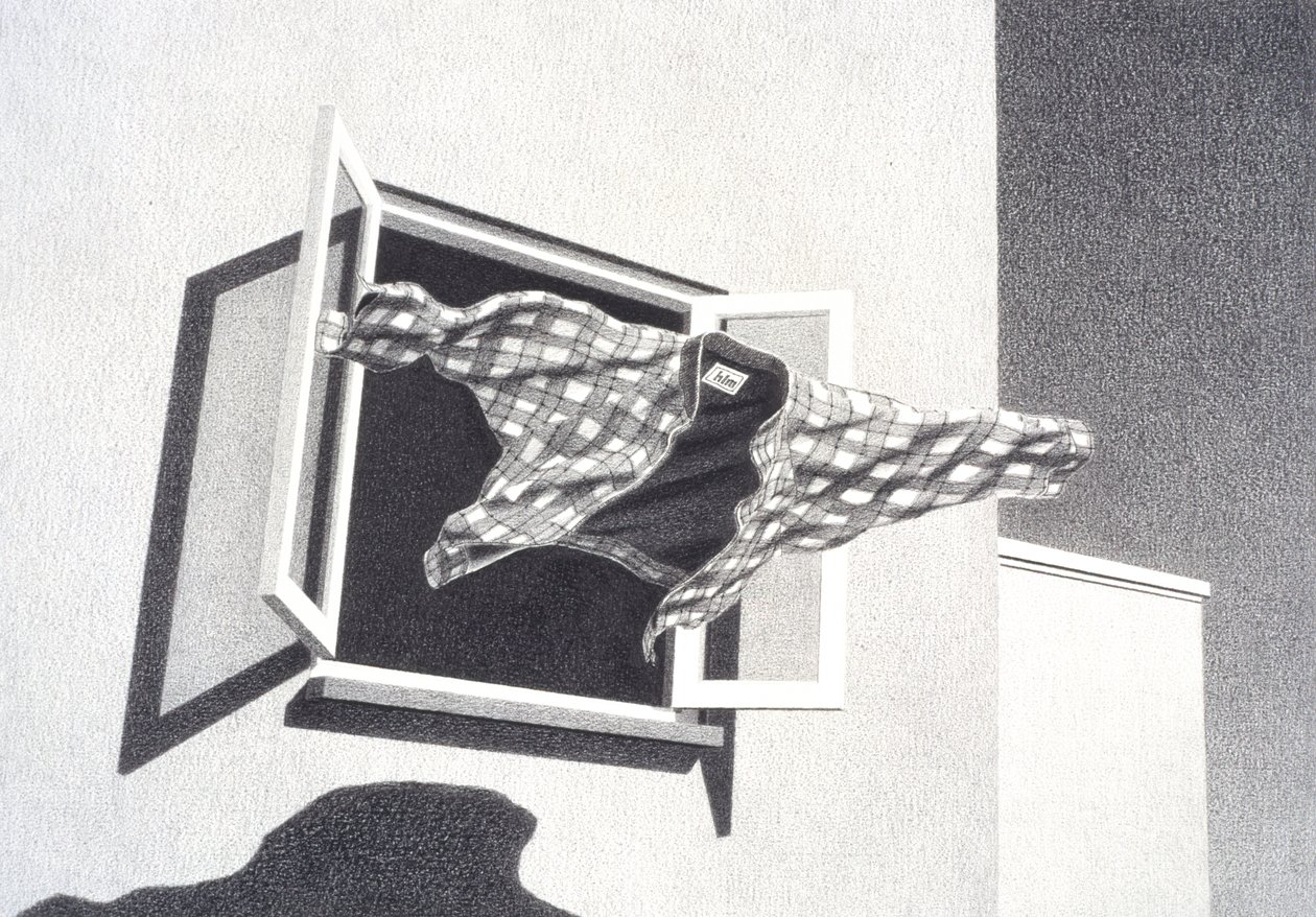 Hyppy ulos tekijältä Rene Boin
