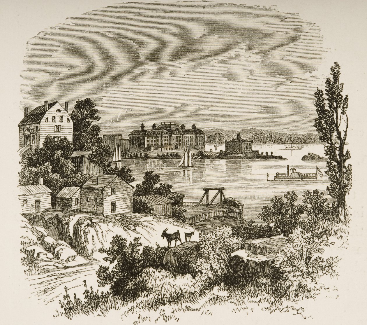 Turtle Bay ja Blackwells Island, New York, noin 1880 tekijältä Reverend Samuel Manning