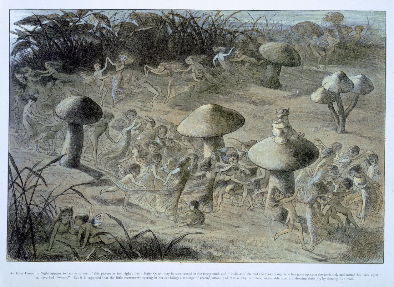 Elfin Dance by Night, kuvitus William Allinghamin ja Andrew Langin teoksesta "In Fairyland: A Series of the Pictures from the Elf-World" tekijältä Richard Doyle