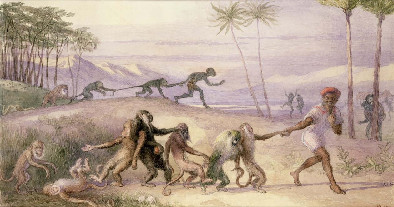 Apinoiden tavat ja tavat tekijältä Richard Doyle