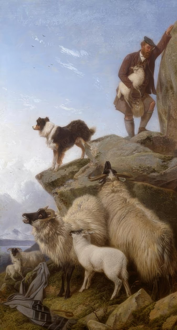 R.Ansdell, Das verirrte Schaf / Gemälde, 1868 tekijältä Richard Ansdell