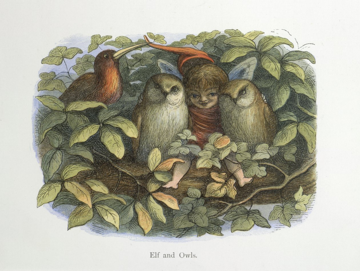 Tonttu ja pöllöt tekijältä Richard Doyle