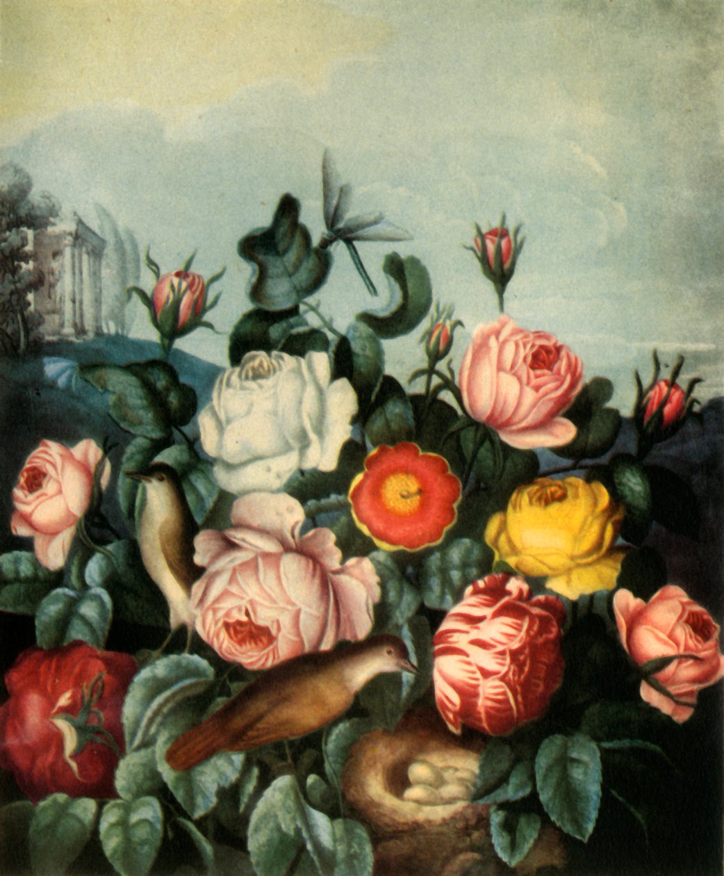 "Ruusut", 1799, 1944. tekijältä Richard Earlom
