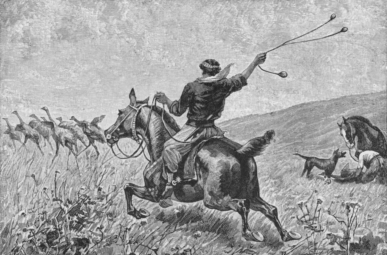 Throwing The Bolas, c1885, 1890 tekijältä Robert Taylor Pritchett