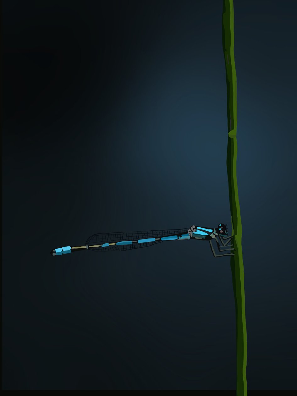 Damselfly, 2022 (digitaalinen) tekijältä Roberta Murray