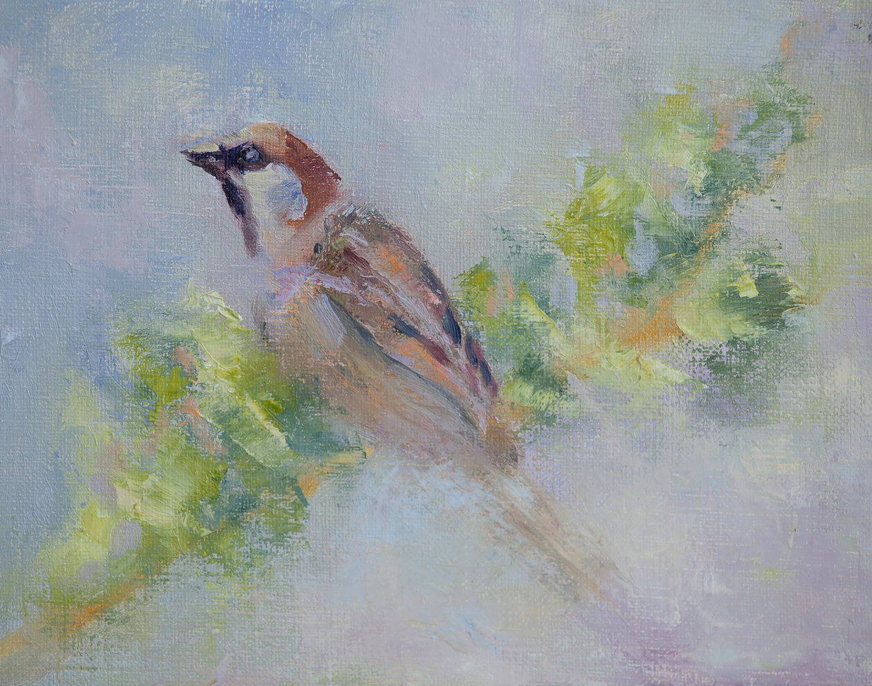 P. Domesticus, 2014 (öljy kankaalle) tekijältä Roberta Murray