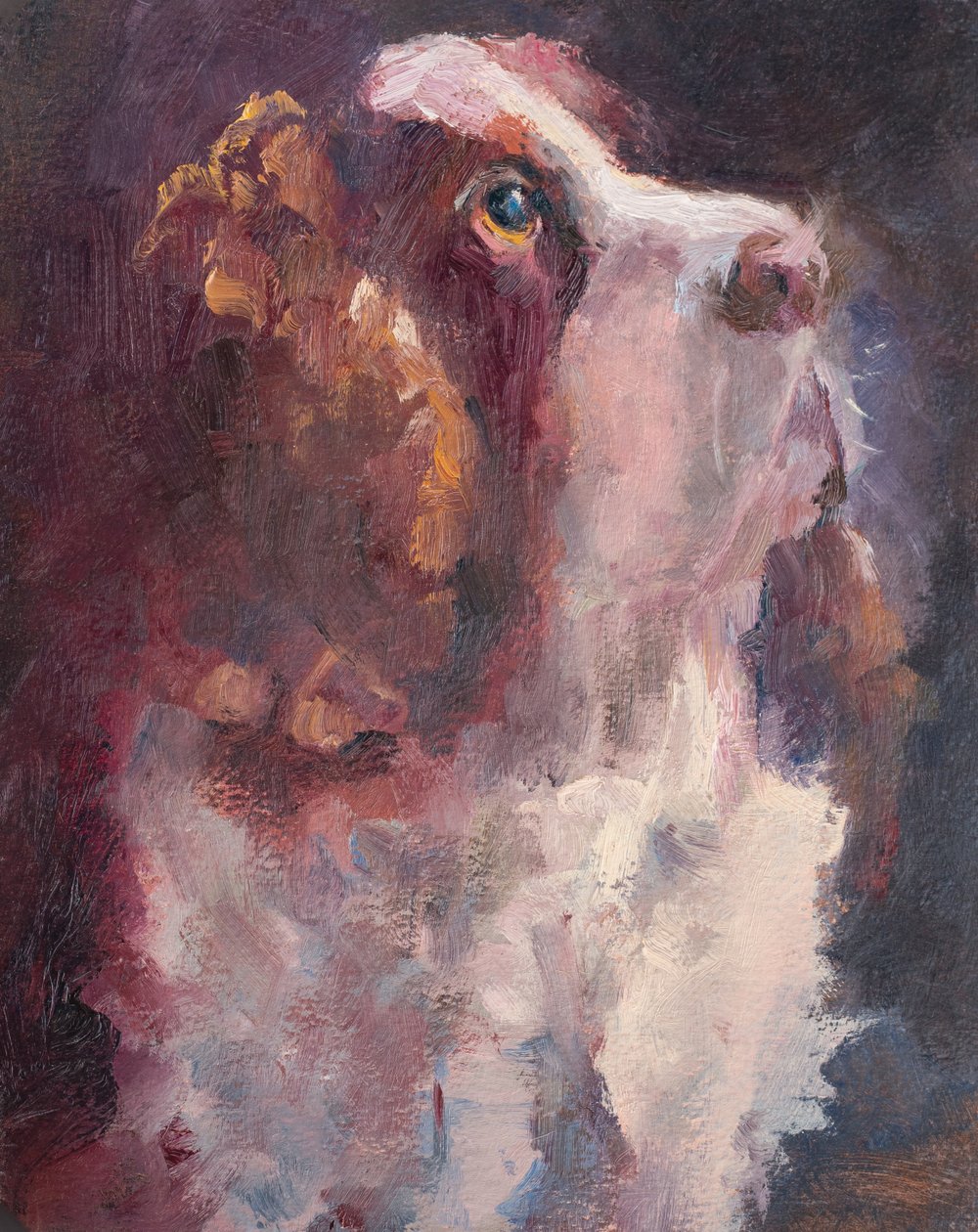 Romeo, 2015 (öljy paneelille) tekijältä Roberta Murray