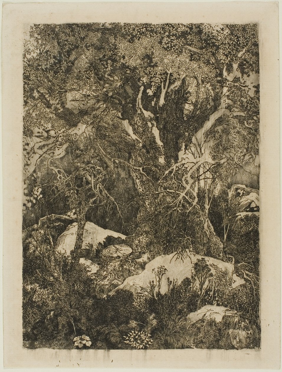 Fontainebleaun metsä tekijältä Rodolphe Bresdin