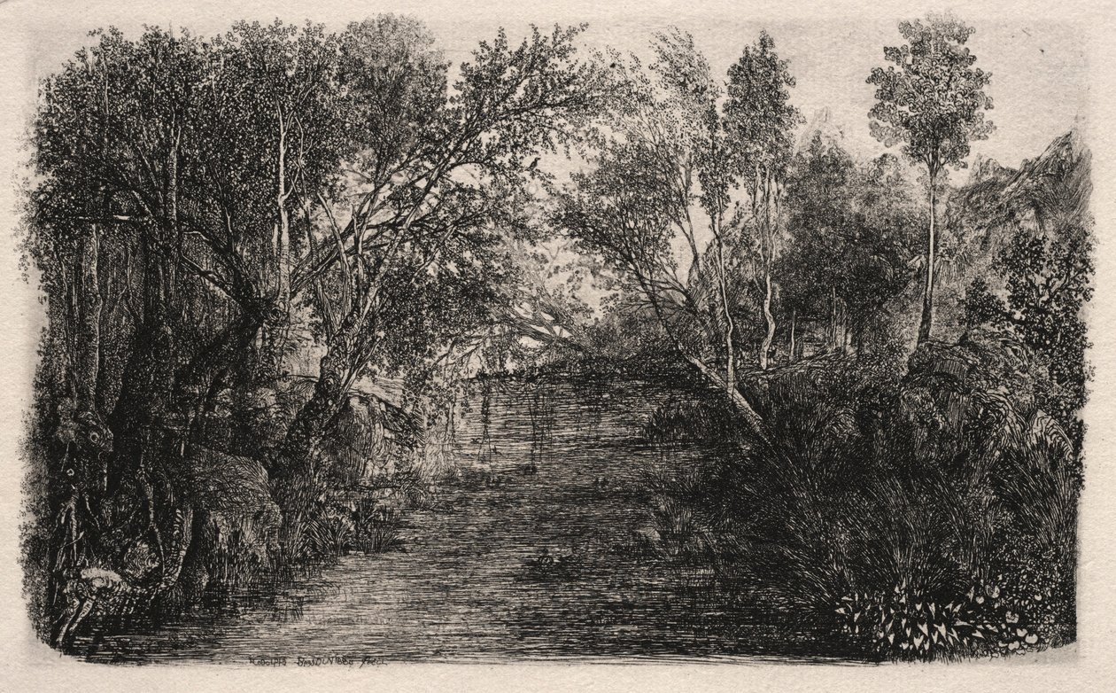 Virta, 1880. tekijältä Rodolphe Bresdin