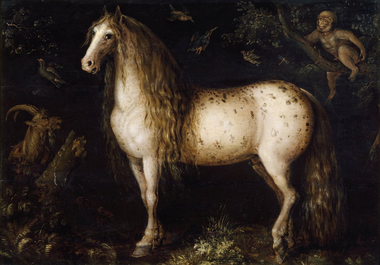 Kirpeän harmaa, c. 1625-1630 tekijältä Roelant Savery