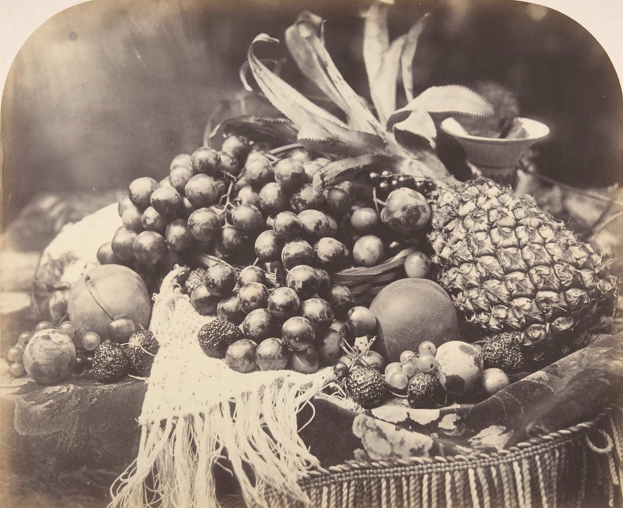 Asetelma hedelmien kanssa, 1860. tekijältä Roger Fenton
