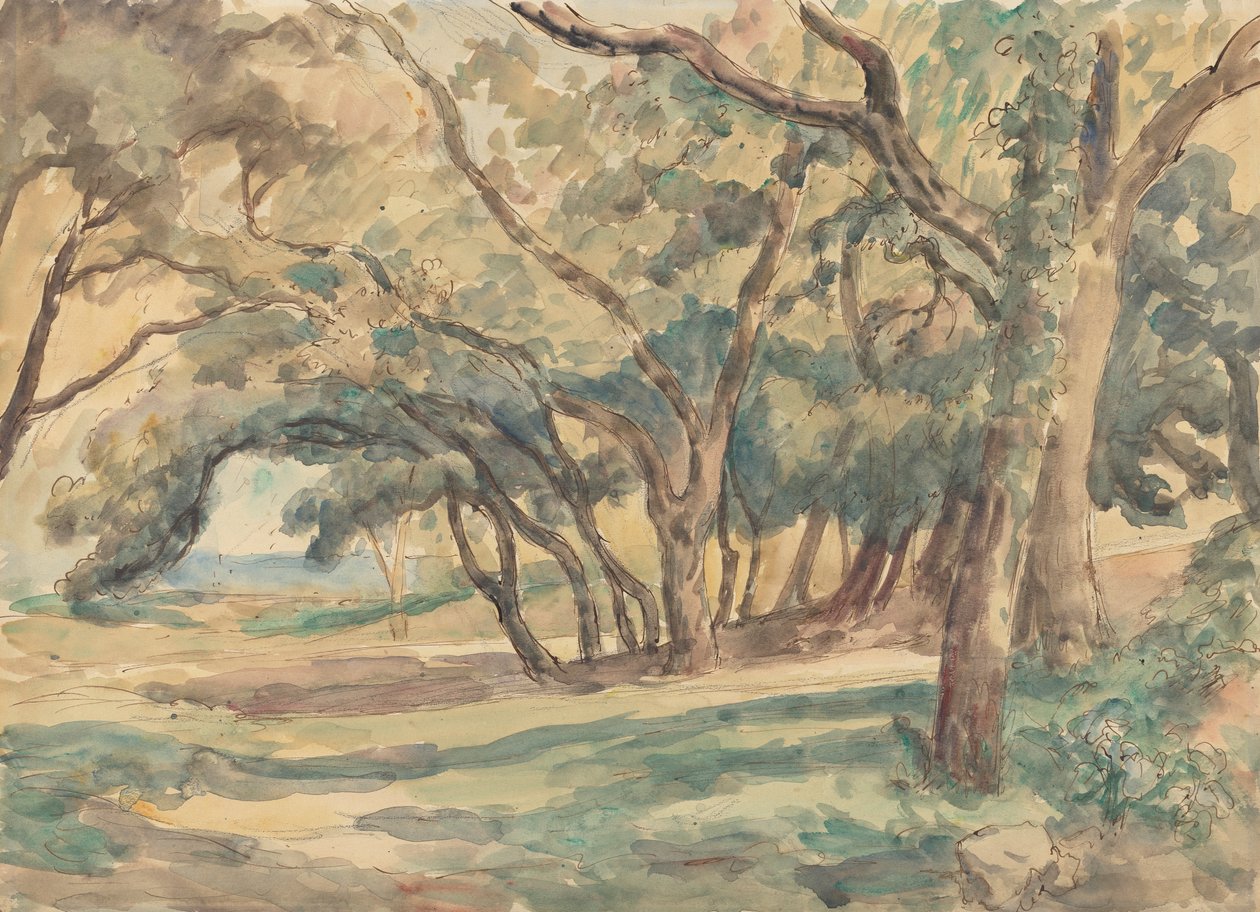 Metsäinen Glade lähellä St. Tropezia tekijältä Roger Fry