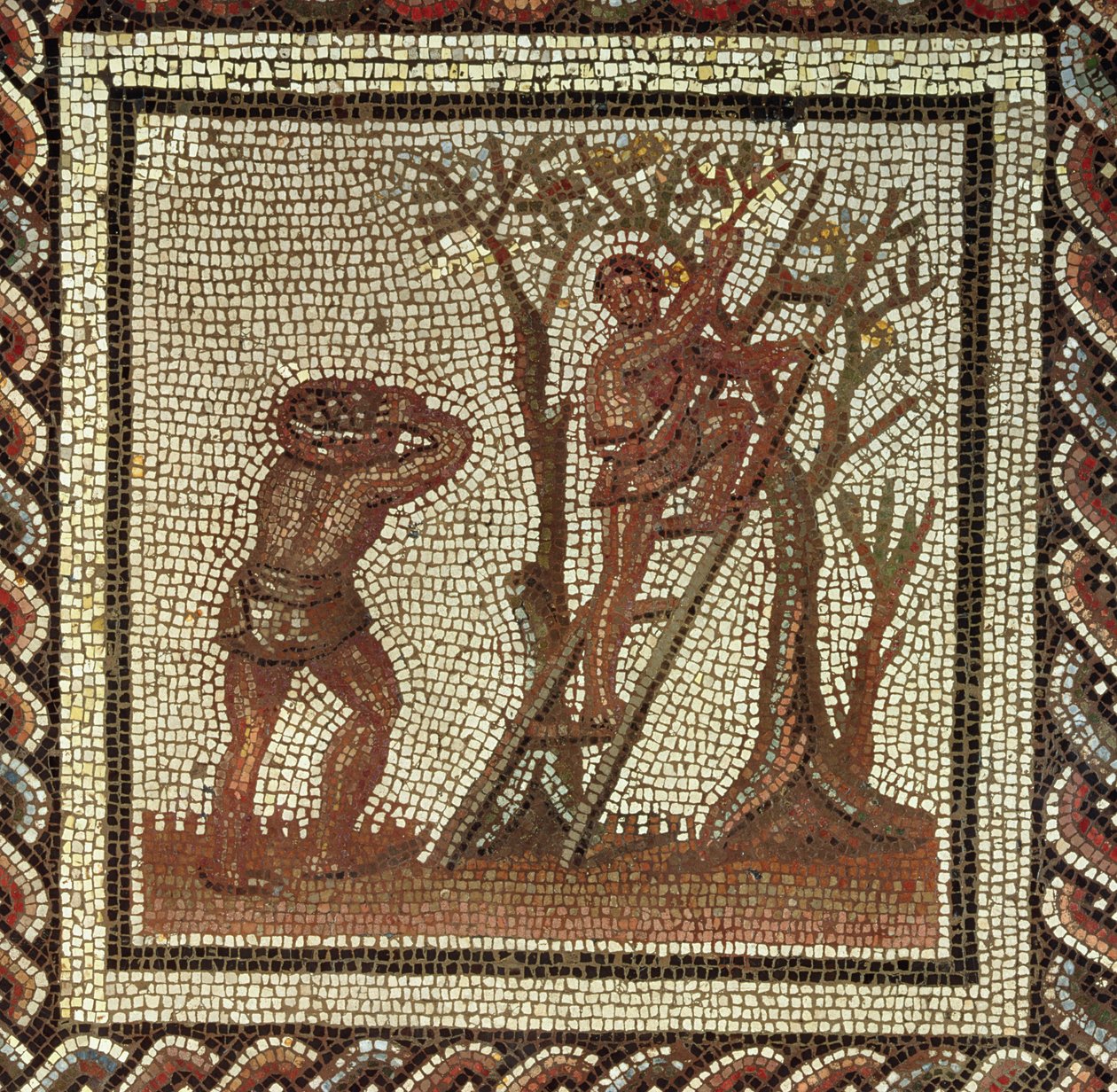Hedelmien poiminta, roomalainen mosaiikki Saint-Romain-en-Galista, Ranskasta, 200-225 jKr. tekijältä Roman