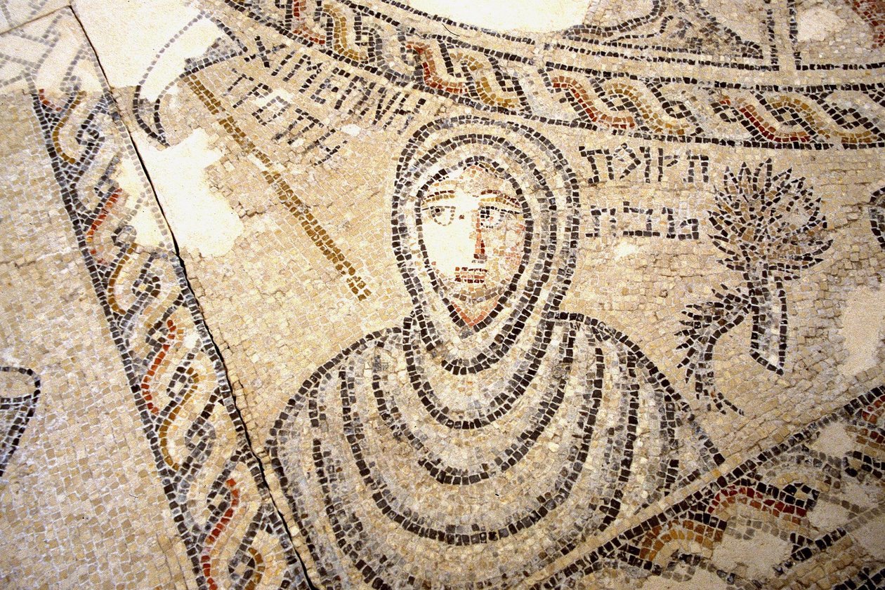 Sepphoris mosaiikki, Tzippori (mosaiikki) tekijältä Roman