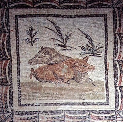 Villisika (mosaiikki) tekijältä Roman Roman