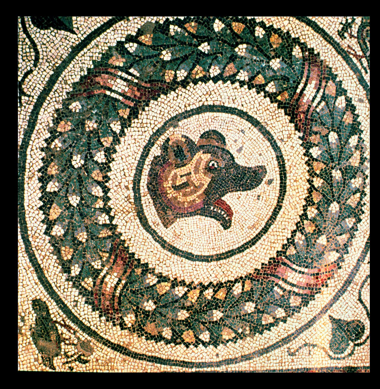 Karhun pää, roomalainen mosaiikki, 400-luvun alku (mosaiikki) tekijältä Roman