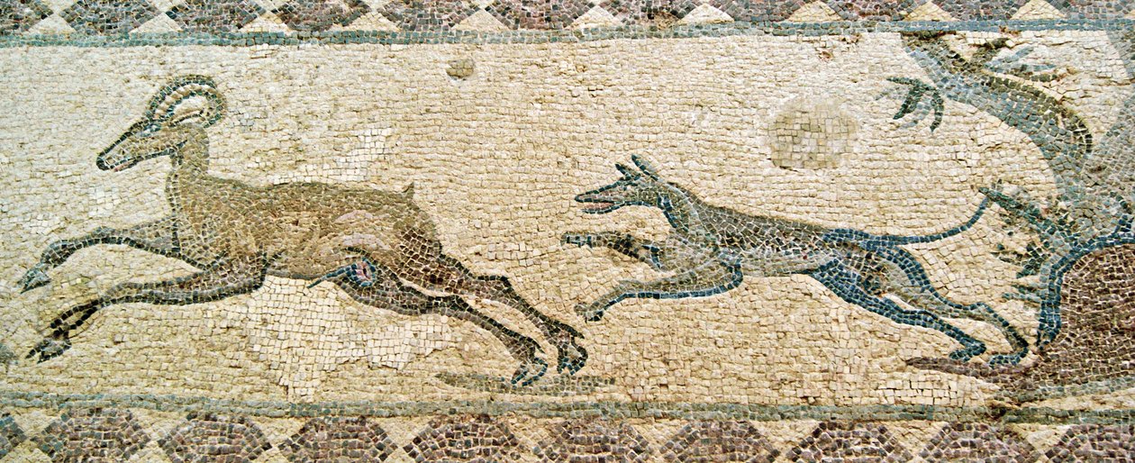 Metsästyskohtaus, Dionysoksen talo, Pafos, Kypros (mosaiikki) tekijältä Roman