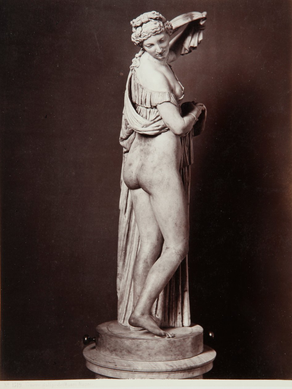 Venus Callipigia (marmori) tekijältä Roman